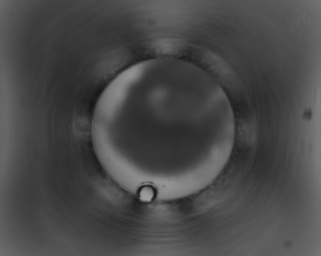 X0000101970419200807181109