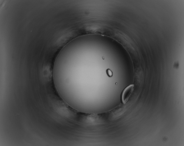 X0000101970420200807181109