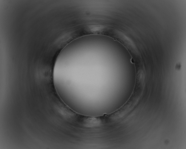 X0000101970421200807181109