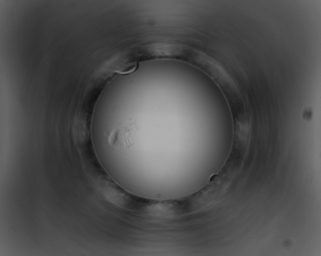 X0000101970422200807181109