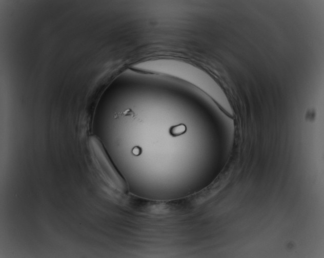 X0000101970423200807181109