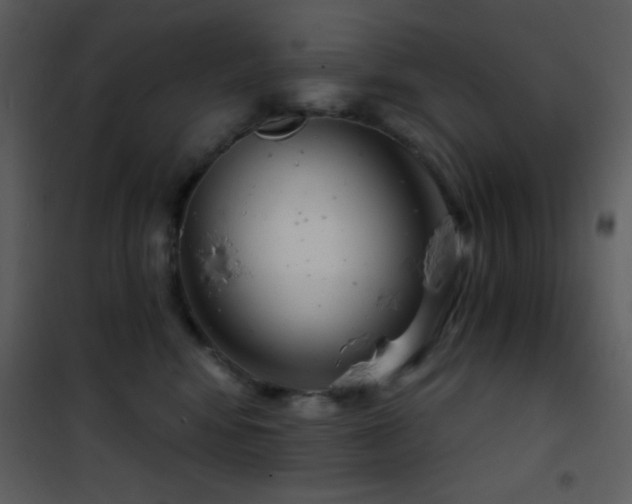 X0000101970424200807181109