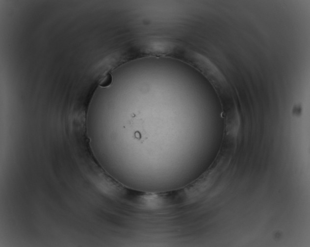 X0000101970425200807181109