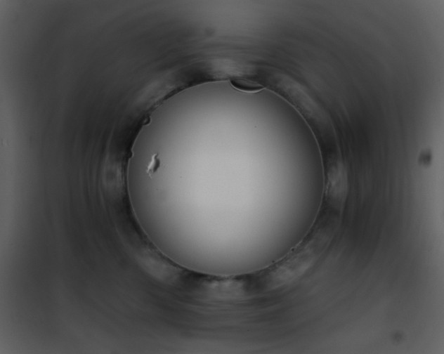 X0000101970426200807181109
