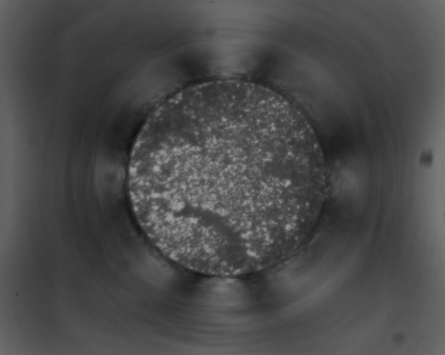 X0000101970427200807181109