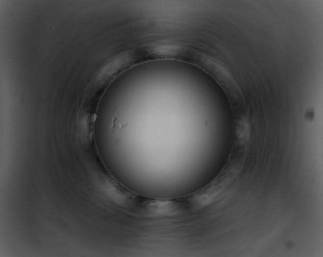 X0000101970428200807181109