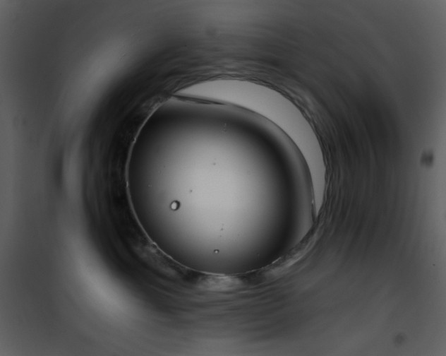 X0000101970429200807181109