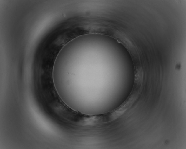 X0000101970430200807181109