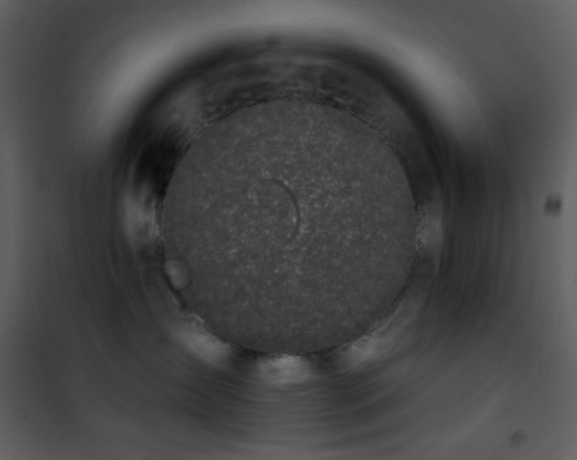 X0000101970431200807181109