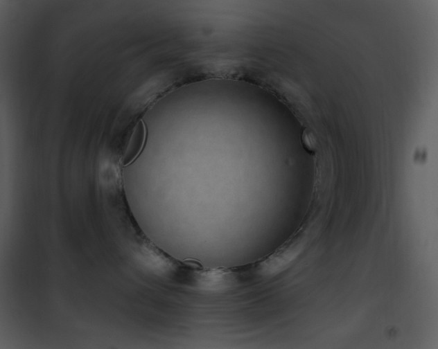 X0000101970432200807181109