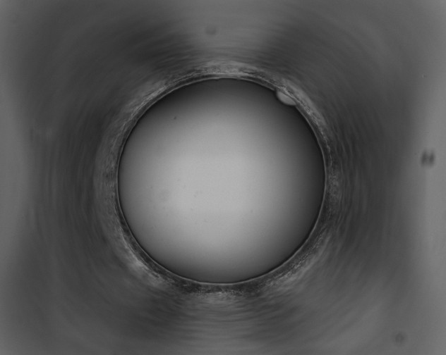 X0000101970433200807181108