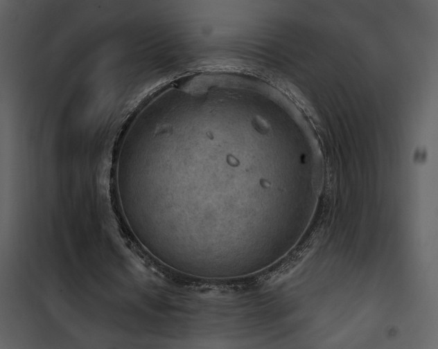 X0000101970434200807181108