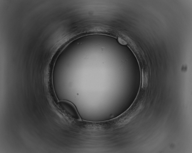 X0000101970435200807181108