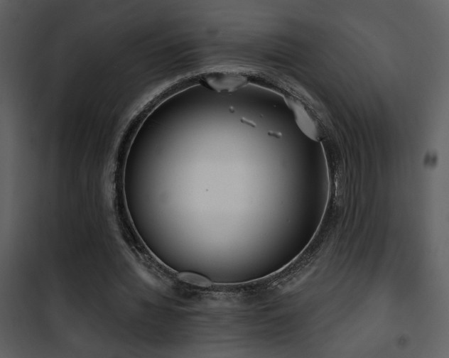 X0000101970436200807181108