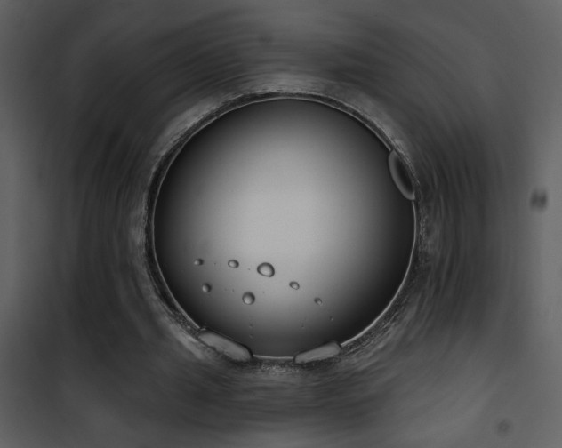 X0000101970437200807181108