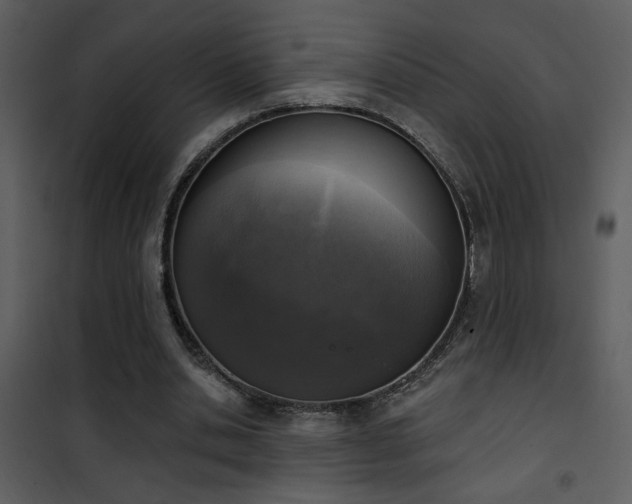 X0000101970438200807181108