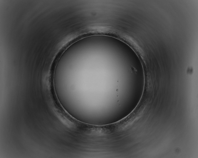 X0000101970439200807181109