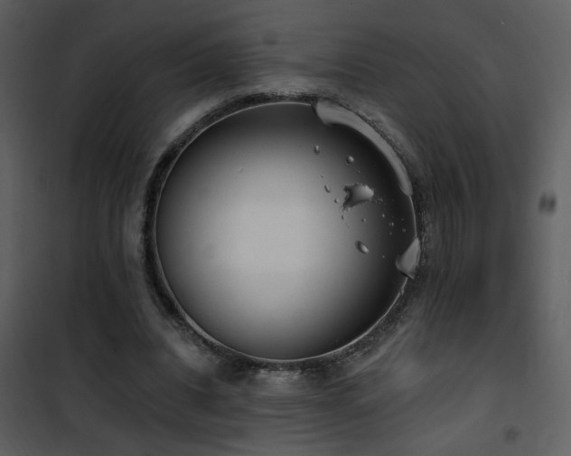 X0000101970440200807181109