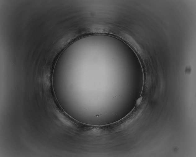 X0000101970441200807181109