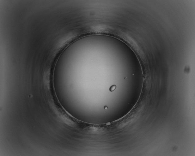 X0000101970442200807181109