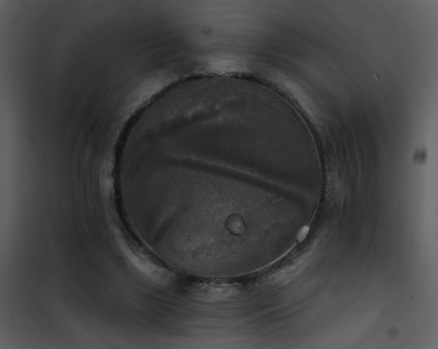 X0000101970443200807181109