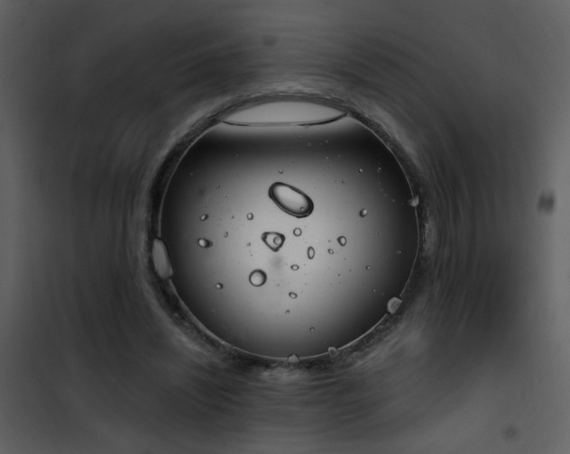X0000101970444200807181109