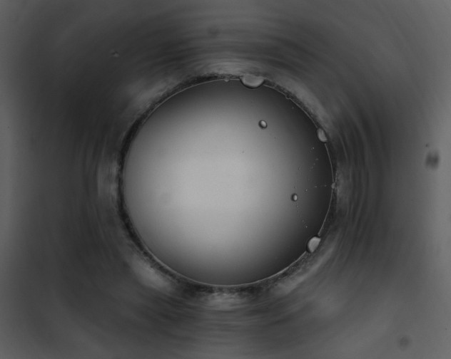 X0000101970445200807181109