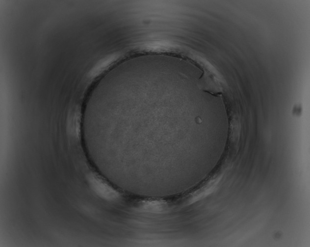 X0000101970446200807181109