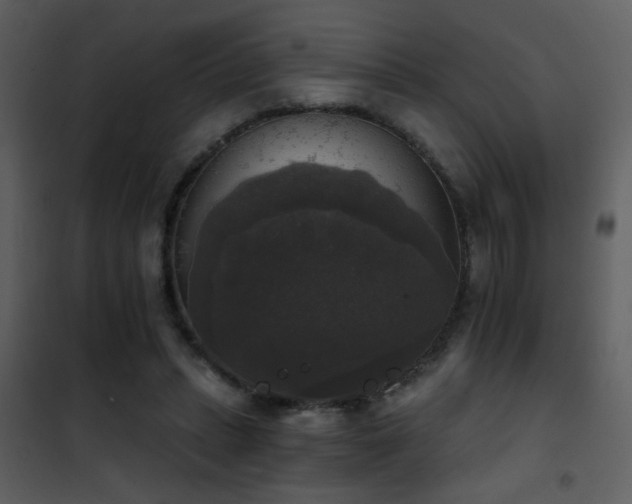 X0000101970447200807181109