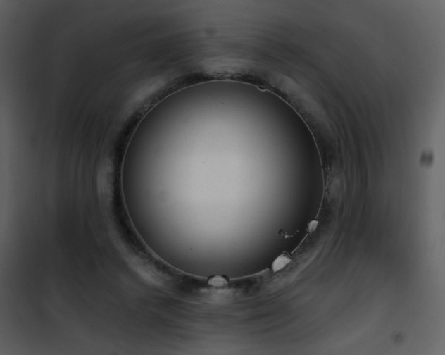 X0000101970448200807181109