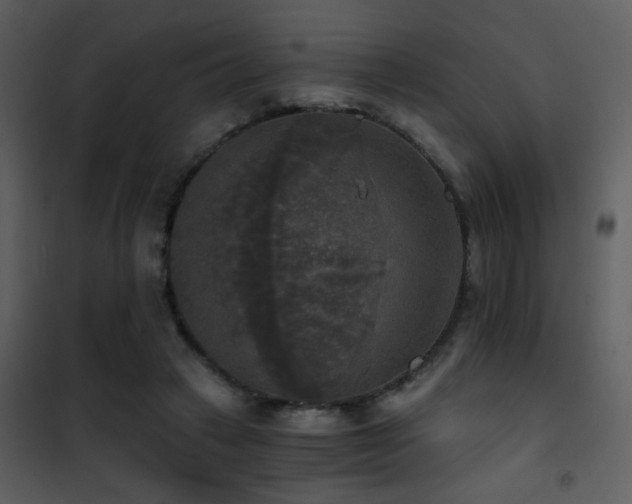 X0000101970449200807181109