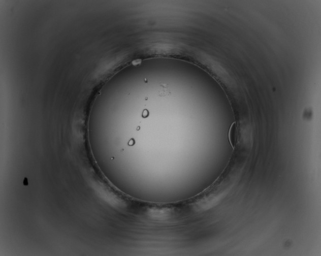 X0000101970450200807181109