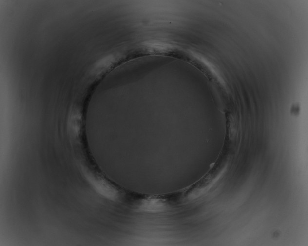 X0000101970451200807181109