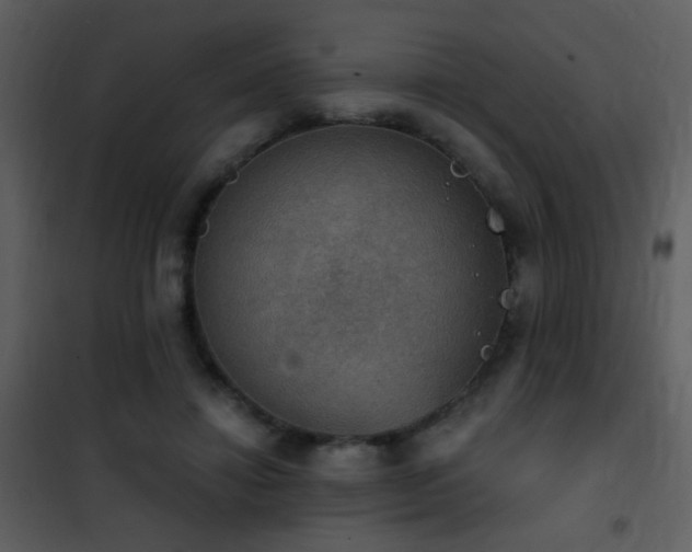X0000101970452200807181109