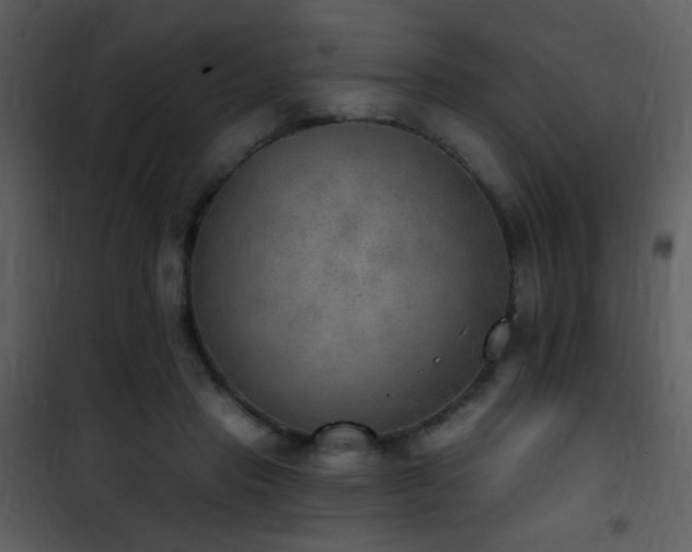X0000101970453200807181109
