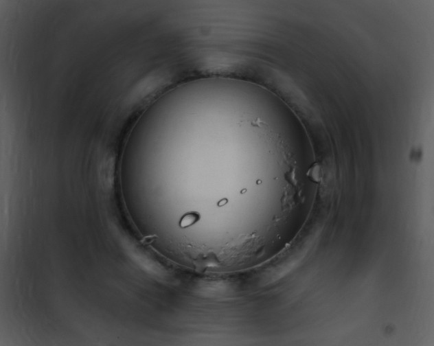 X0000101970454200807181109