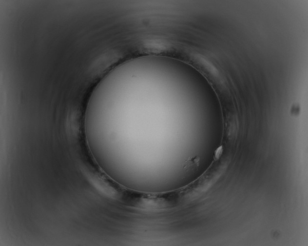 X0000101970455200807181109