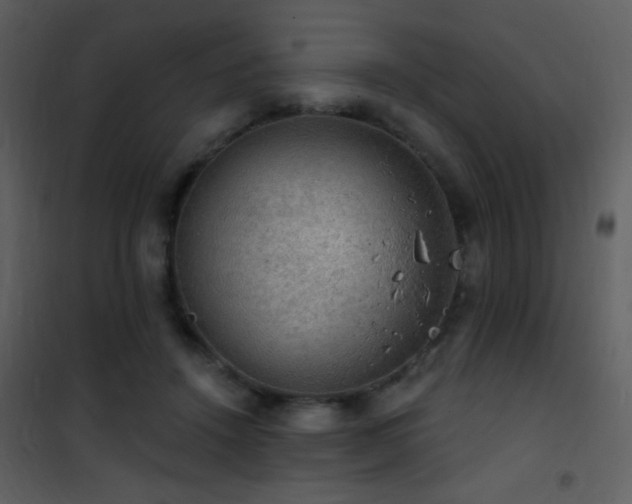 X0000101970456200807181109