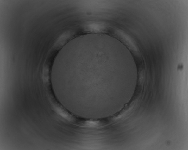 X0000101970457200807181109