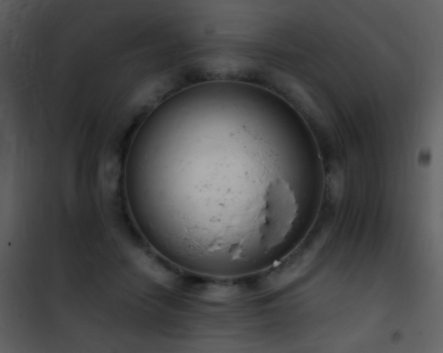 X0000101970458200807181109