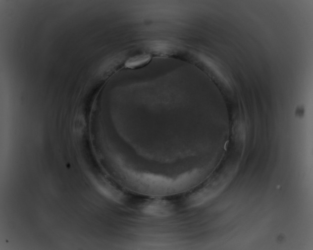 X0000101970459200807181109