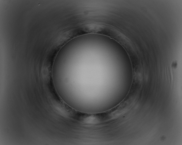 X0000101970460200807181109