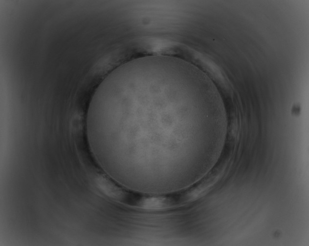 X0000101970461200807181109