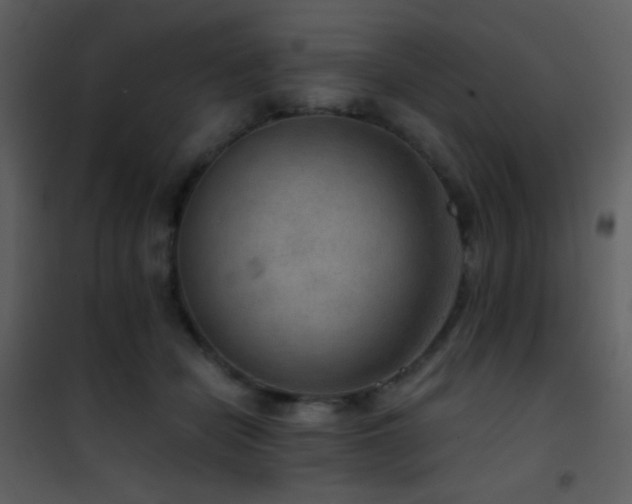X0000101970462200807181109