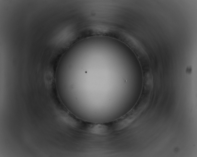 X0000101970463200807181109