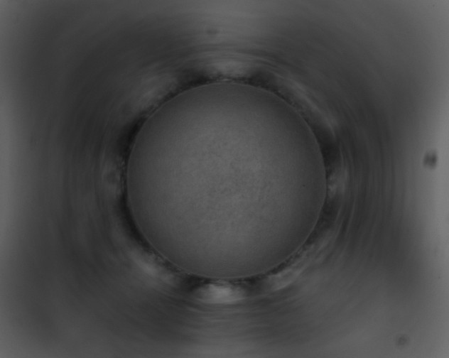 X0000101970464200807181109