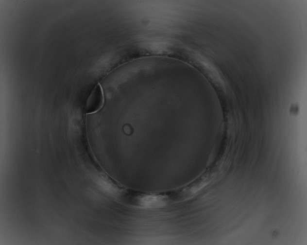 X0000101970465200807181109