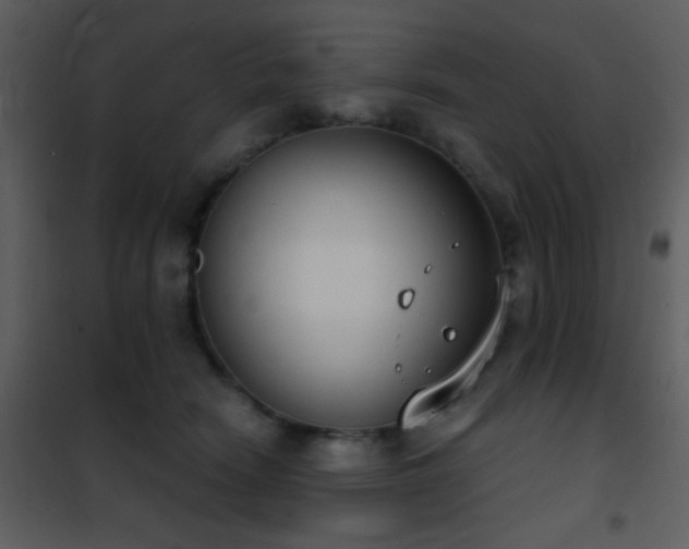 X0000101970466200807181109
