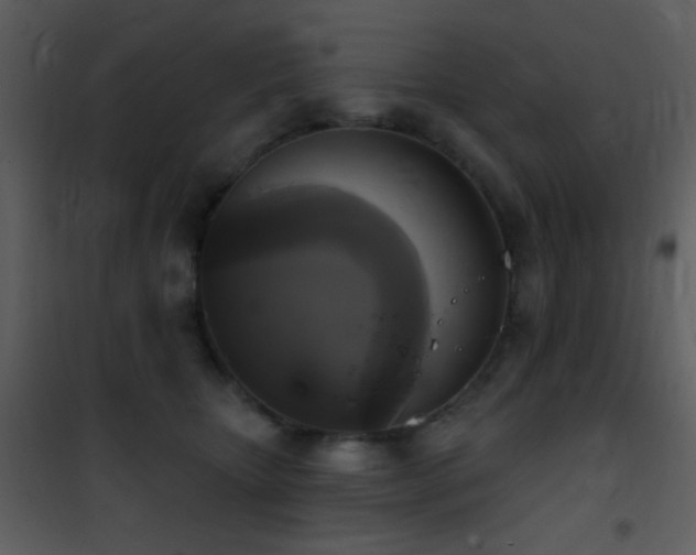 X0000101970467200807181109
