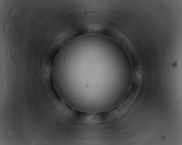X0000101970468200807181109